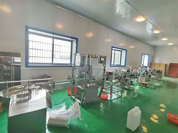 雙頭辣椒醬灌裝生產(chǎn)線-雙頭辣椒醬自動灌裝機(jī)